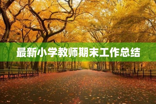 最新小学教师期末工作总结