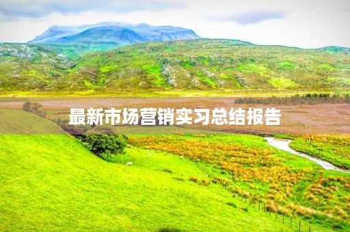 最新市场营销实习总结报告 最新市场营销实习总结报告