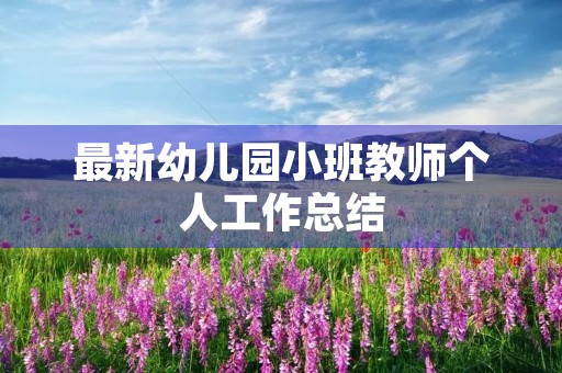 最新幼儿园小班教师个人工作总结