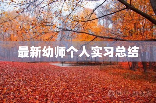 最新幼师个人实习总结 最新幼师个人实习总结