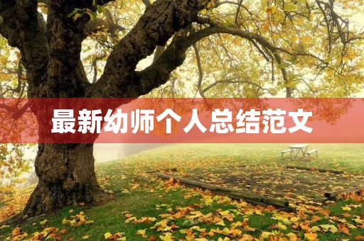 最新幼师个人总结范文