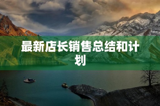最新店长销售总结和计划