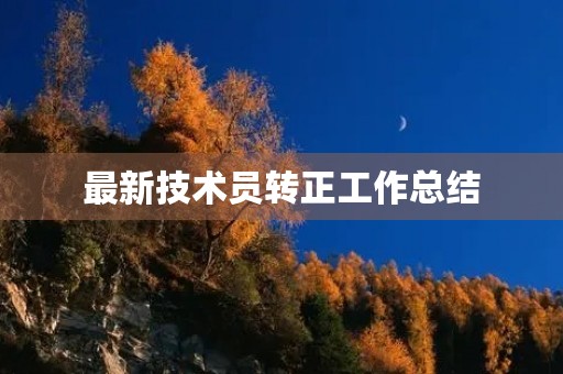 最新技术员转正工作总结
