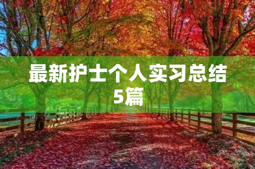最新护士个人实习总结5篇