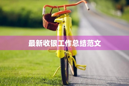 最新收银工作总结范文