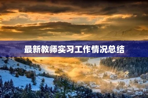 最新教师实习工作情况总结