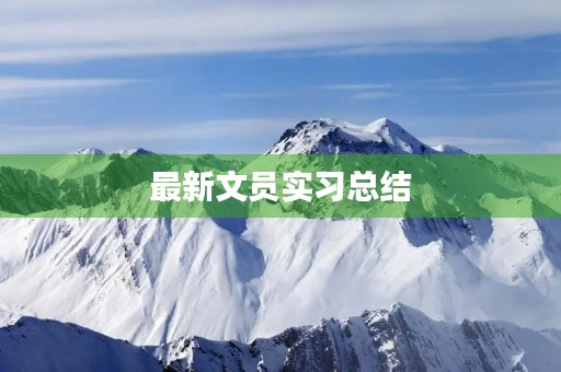 最新文员实习总结 最新文员实习总结