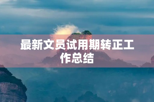 最新文员试用期转正工作总结