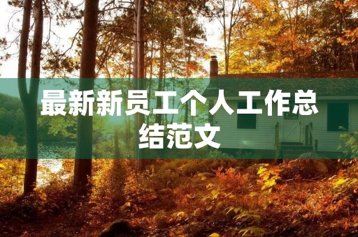 最新新员工个人工作总结范文