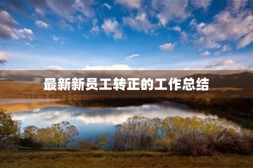 最新新员工转正的工作总结