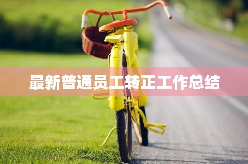 最新普通员工转正工作总结
