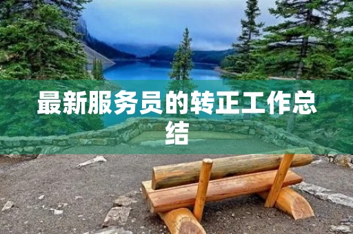 最新服务员的转正工作总结