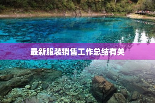 最新服装销售工作总结有关 最新服装销售工作总结有关