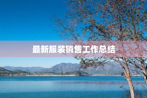 最新服装销售工作总结