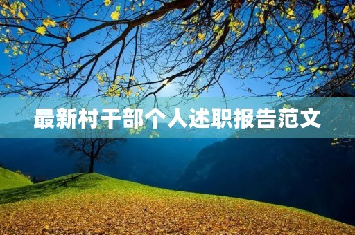 最新村干部个人述职报告范文