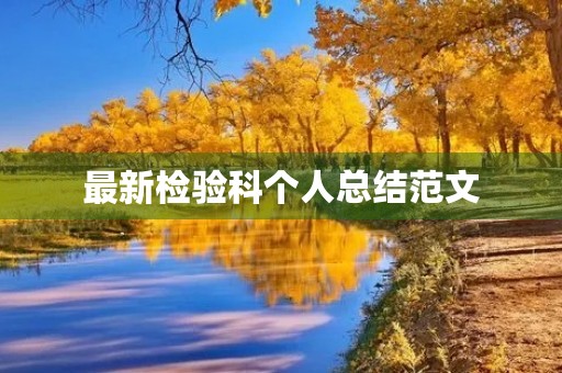 最新检验科个人总结范文