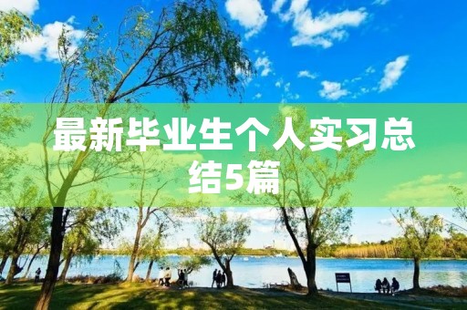 最新毕业生个人实习总结5篇