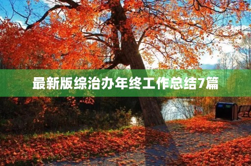 最新版综治办年终工作总结7篇