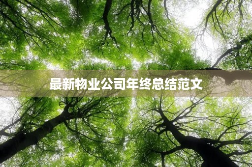 最新物业公司年终总结范文