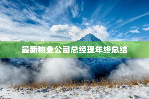 最新物业公司总经理年终总结