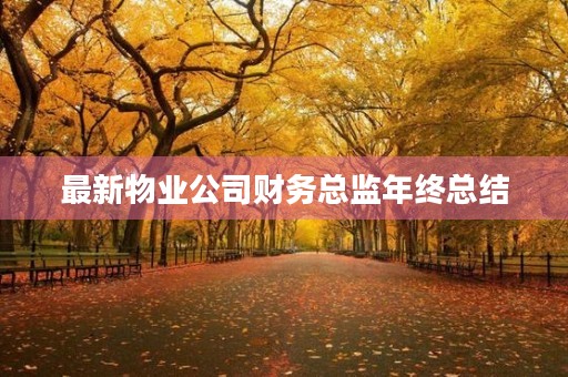 最新物业公司财务总监年终总结