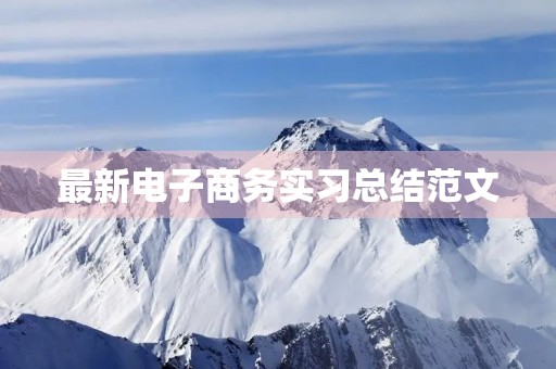 最新电子商务实习总结范文
