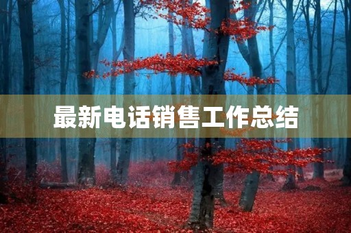 最新电话销售工作总结