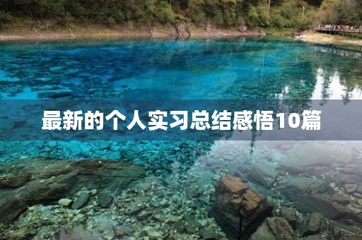 最新的个人实习总结感悟10篇