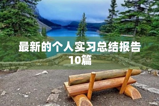 最新的个人实习总结报告10篇