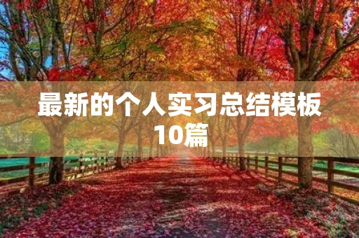 最新的个人实习总结模板10篇