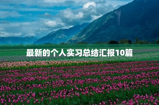 最新的个人实习总结汇报10篇