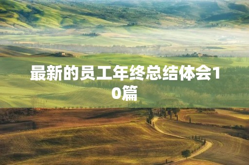 最新的员工年终总结体会10篇