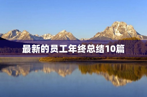 最新的员工年终总结10篇 最新的员工年终总结10篇