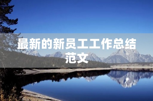 最新的新员工工作总结范文