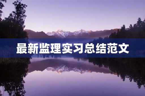 最新监理实习总结范文