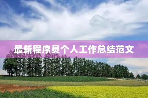 最新程序员个人工作总结范文