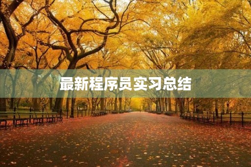 最新程序员实习总结 最新程序员实习总结