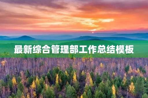 最新综合管理部工作总结模板(10篇)
