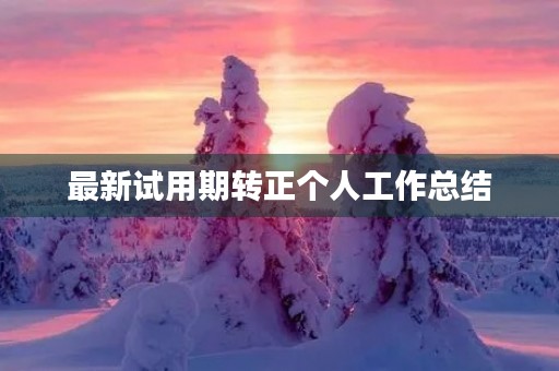 最新试用期转正个人工作总结