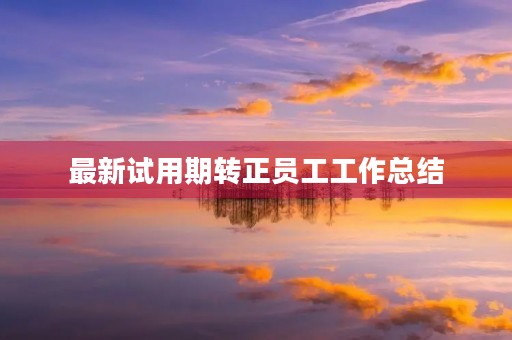 最新试用期转正员工工作总结