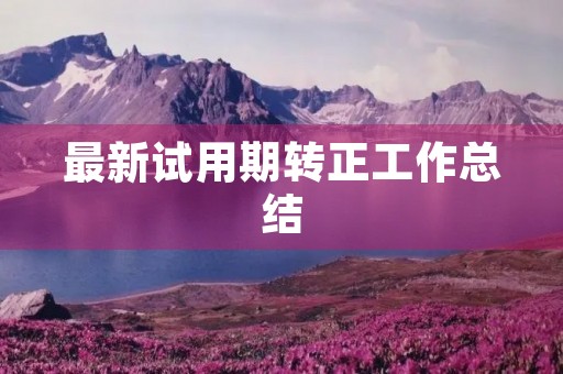 最新试用期转正工作总结