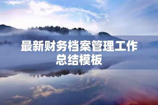 最新财务档案管理工作总结模板