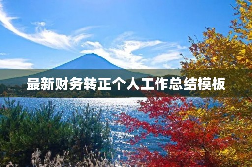 最新财务转正个人工作总结模板