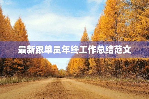 最新跟单员年终工作总结范文