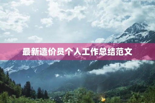 最新造价员个人工作总结范文