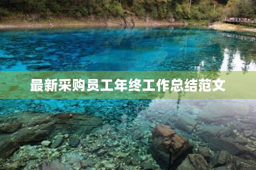 最新采购员工年终工作总结范文 最新采购员工年终工作总结范文