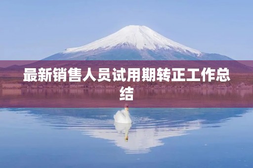最新销售人员试用期转正工作总结