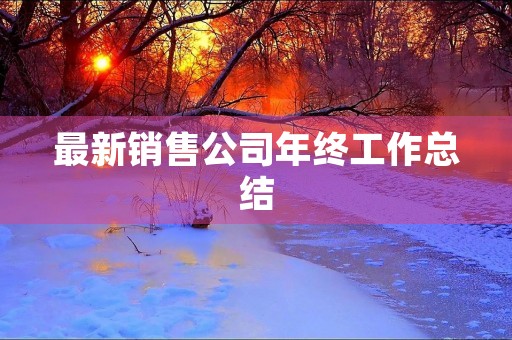 最新销售公司年终工作总结 最新销售公司年终工作总结