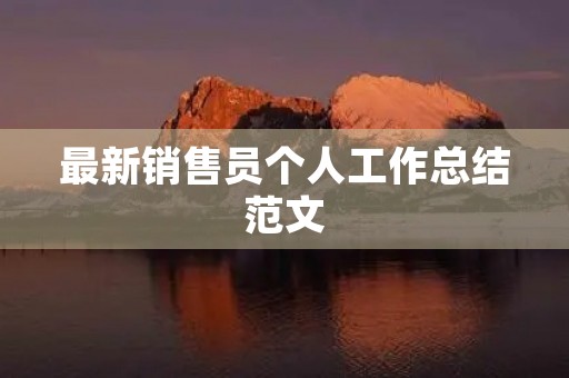 最新销售员个人工作总结范文