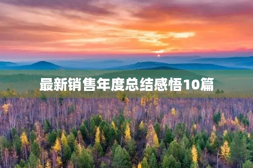 最新销售年度总结感悟10篇